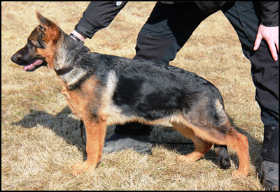 14/4 -12 MHKkullen-382-2.JPG