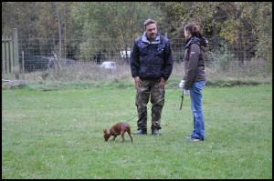 Vår dotter Jennifer m. Chili på Mh pratar med testledaren Tommy