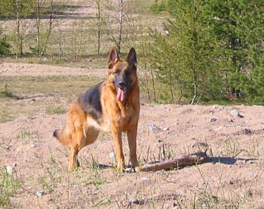 gropenen 14 maj 05 gropenen 14 maj 05