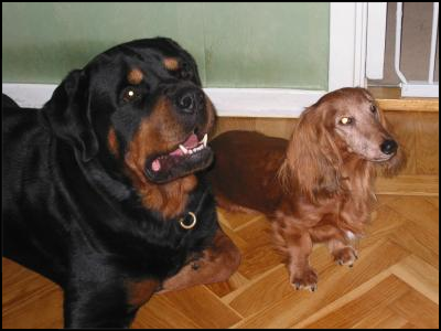 Loke & Sandy Loke & Sandy