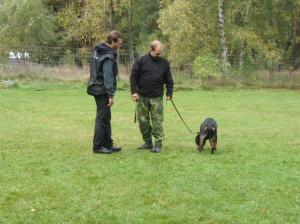 Jonas och Friska bekantar sig med testledaren Lorentz