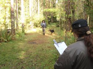 Promenad förbi skramlet